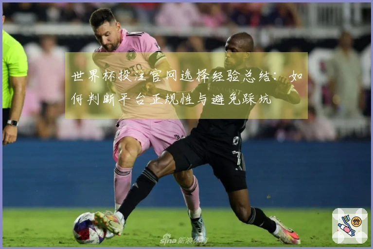 世界杯投注官网选择经验总结：如何判断平台正规性与避免踩坑