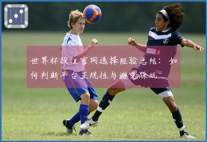 世界杯投注官网选择经验总结：如何判断平台正规性与避免踩坑