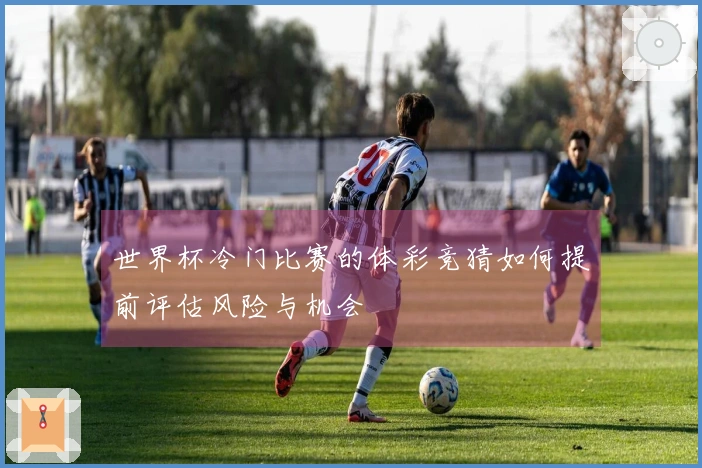 世界杯冷门比赛的体彩竞猜如何提前评估风险与机会