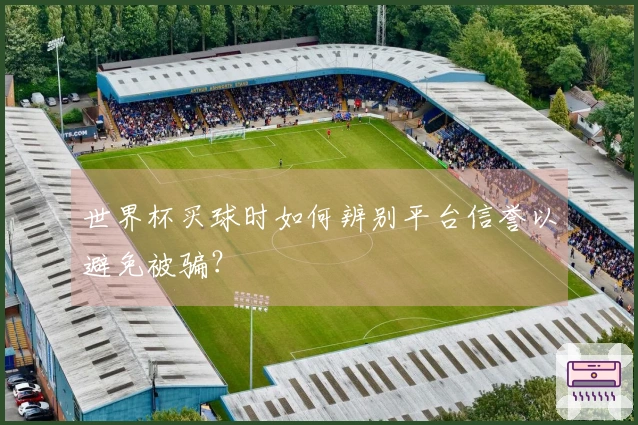世界杯买球时如何辨别平台信誉以避免被骗？